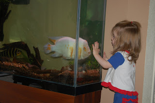 She loved that fish, but he hated her.  He wanted to chomp on her nose through the glass