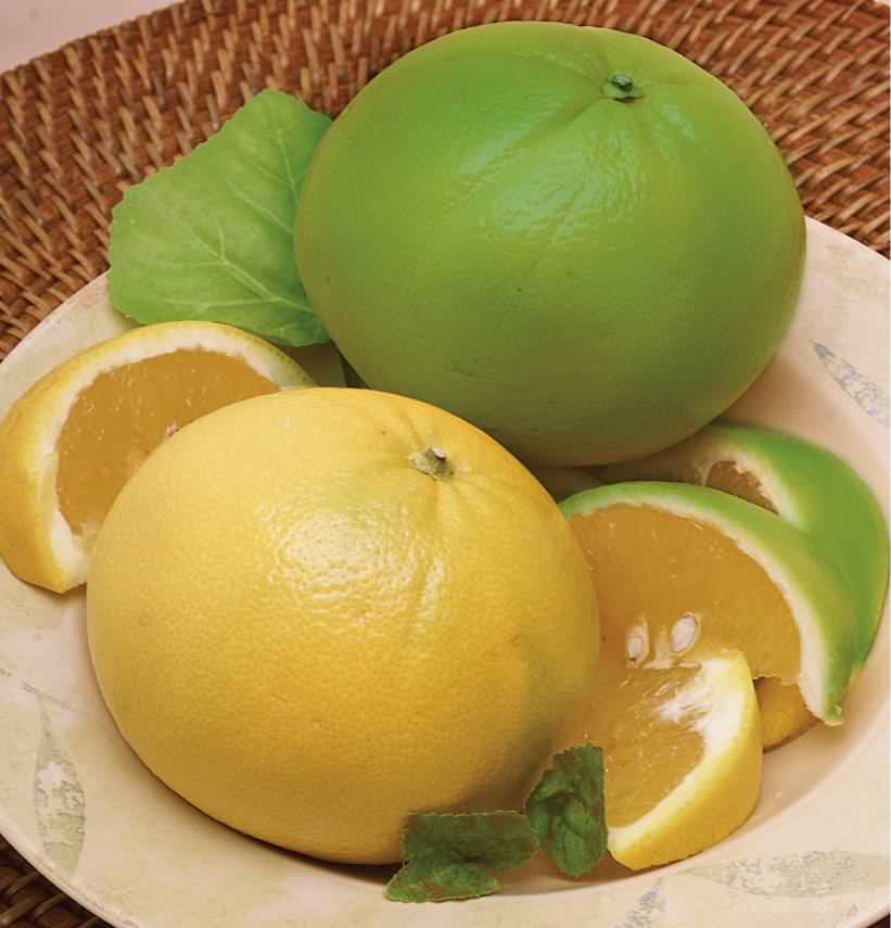 Melissa's Produce Cocktail Grapefruit are Wonderful!