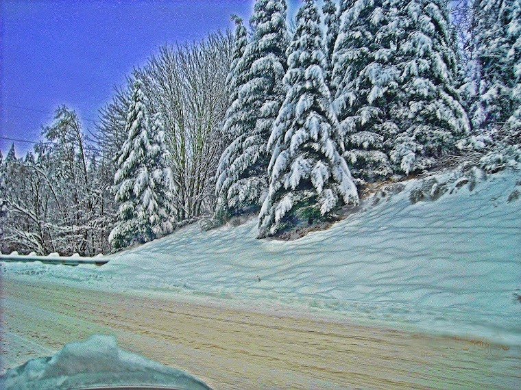 Just learning to Digiscrap