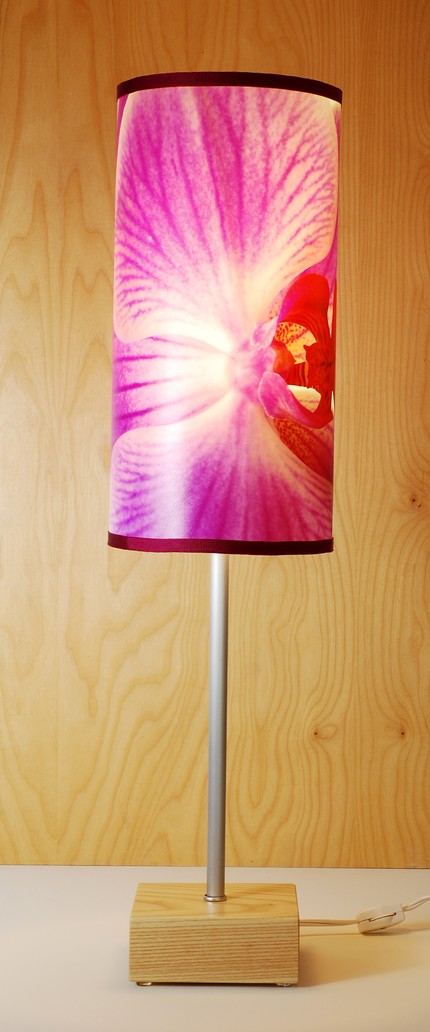 [tall+lamp+shade+via+tansyandco.jpg]