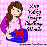 I WON at Incy Wincy Designs!