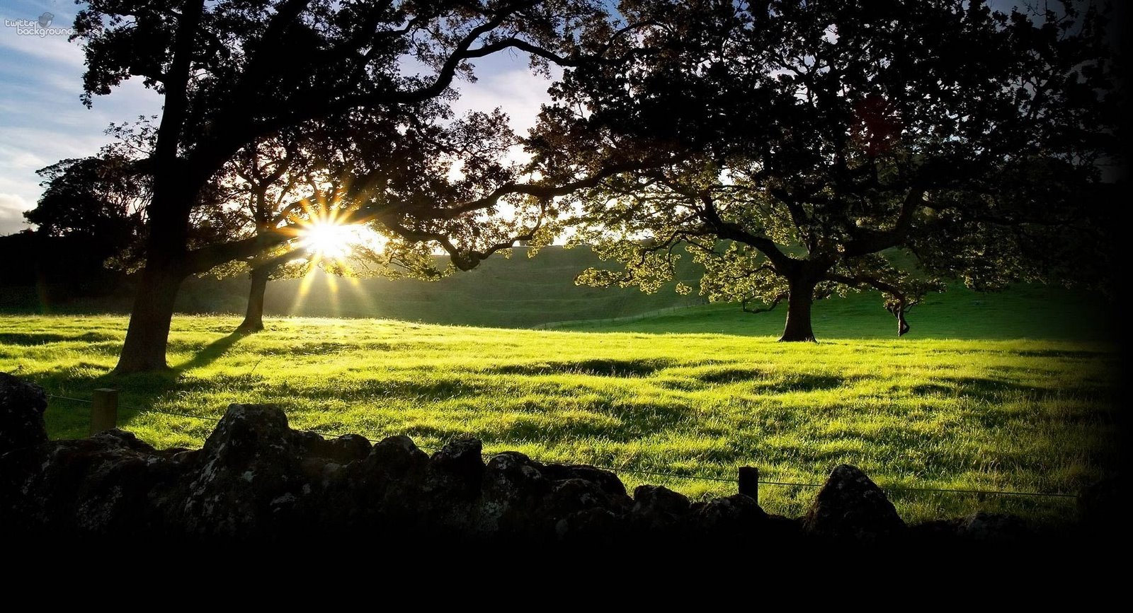 [mqsunnypasture_br.jpg]