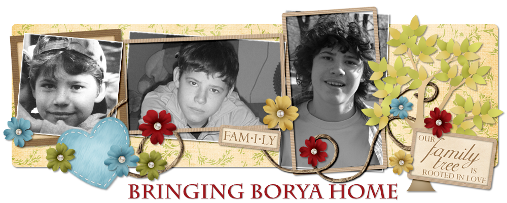 Bringing Borya Home