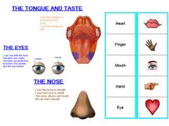 THE TONQUE AND TASTE