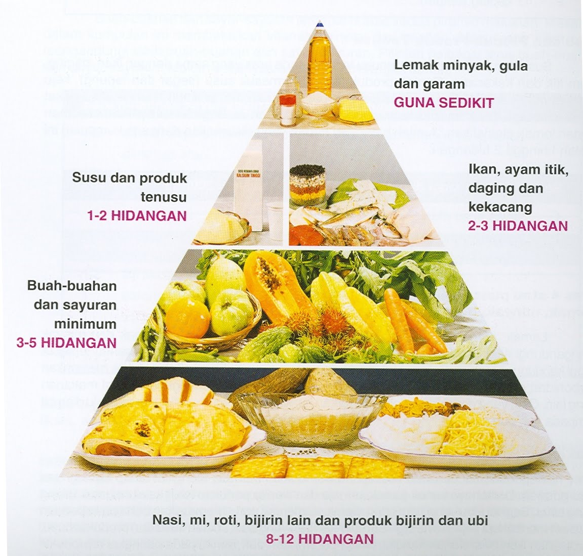 topengboy Food Pyramid (Malaysian Edition)