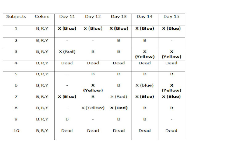 Last Five Days of the Experiment