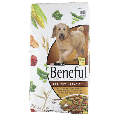 Beneful Dog Food With Talking Dog Beneful Dog Food With Talking Dog