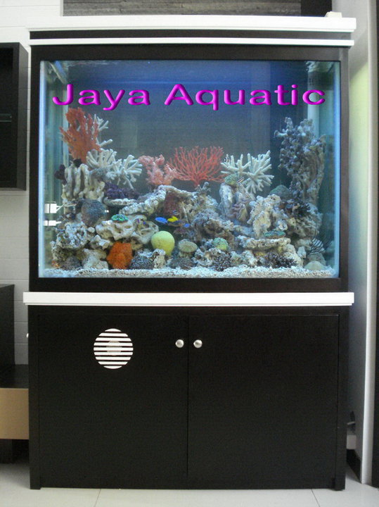 Aquarium 1.2 Meter