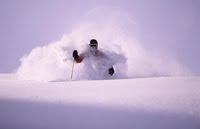 Experience The Thrill!