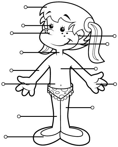 Resultado de imagen de taller de las partes de mi cuerpo para niños en español