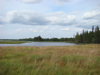 Fins landschap