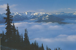 Olympic National Park