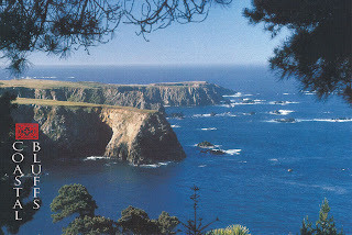 Redwood NP