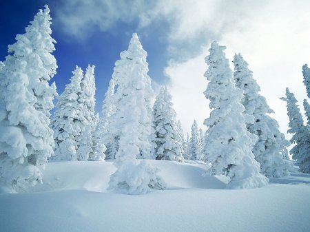[amazing+winter+photographies+flickzzz.com+016-791692.jpg]