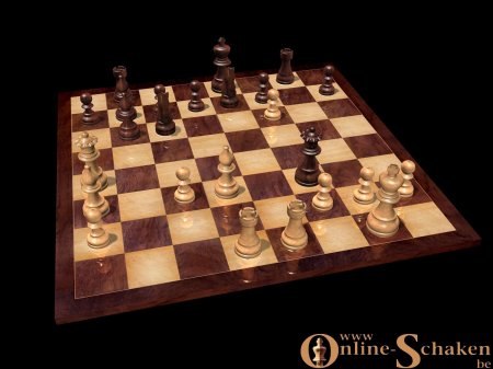 [chess012-797610.jpg]