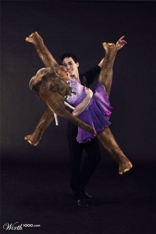 [dancing+animals+flickzzz.com+031-746091.jpg]