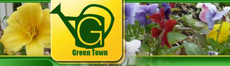 Green Town Waukegan