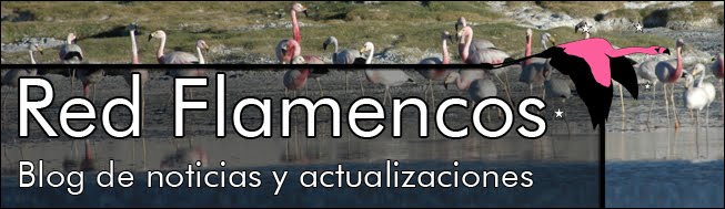 Red Flamencos