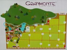 GranMonte Smart Vineyard