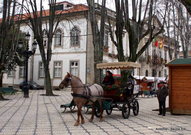 [antoniopovinho_2919.JPG]