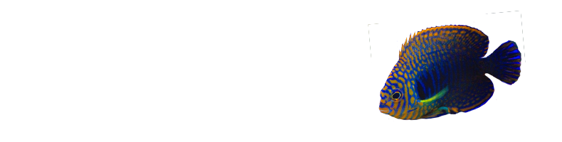 GraouQuarium 2.0