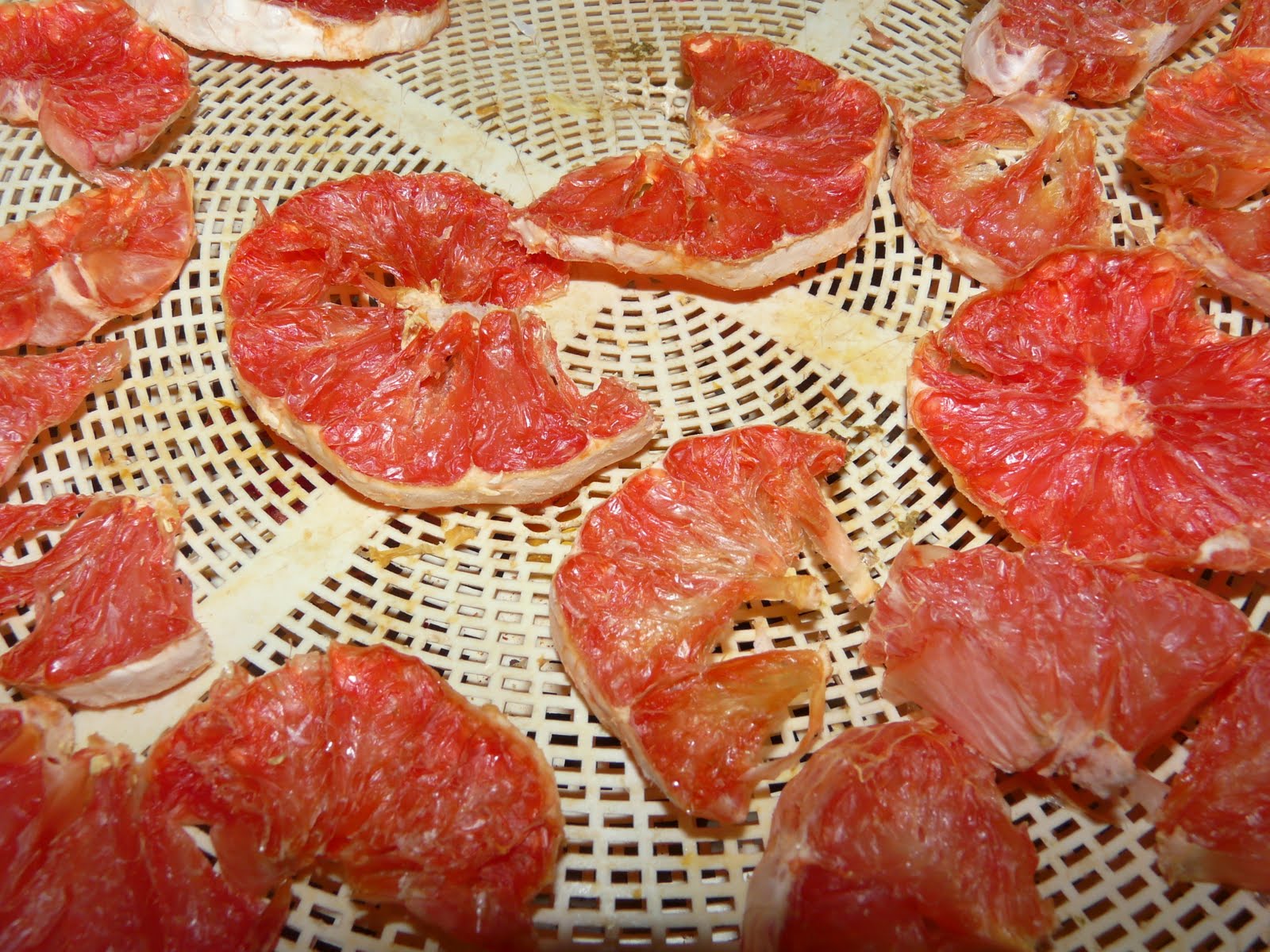 The "Secret" is Gratitude Dehydrating or Drying Citrus