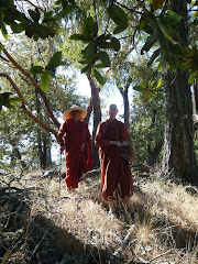 Retreats for Bhikkhunis and Buddhist Monastic Women