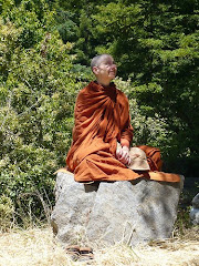 Ven Bhikkhuni Sudhamma Theri