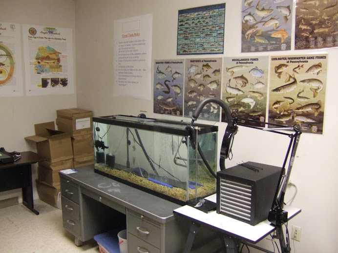 BJHS Trout in the Classroom