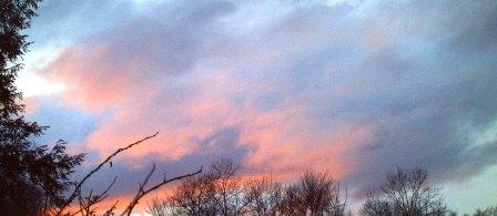 Miss Planète en Péril