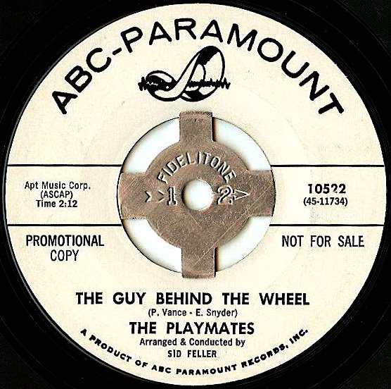 [the+guy+behind+the+wheel.jpg]