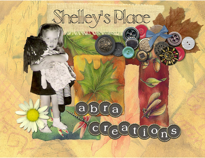 Shelley's Place