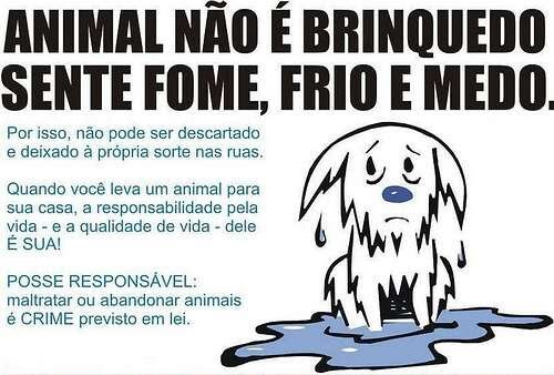 NÃO COMPRE ANIMAIS, ADOTE!!!BICHO É TUDO DE BOM .