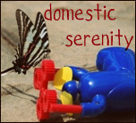 Domestic Serenity