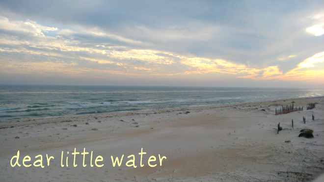 dear little water