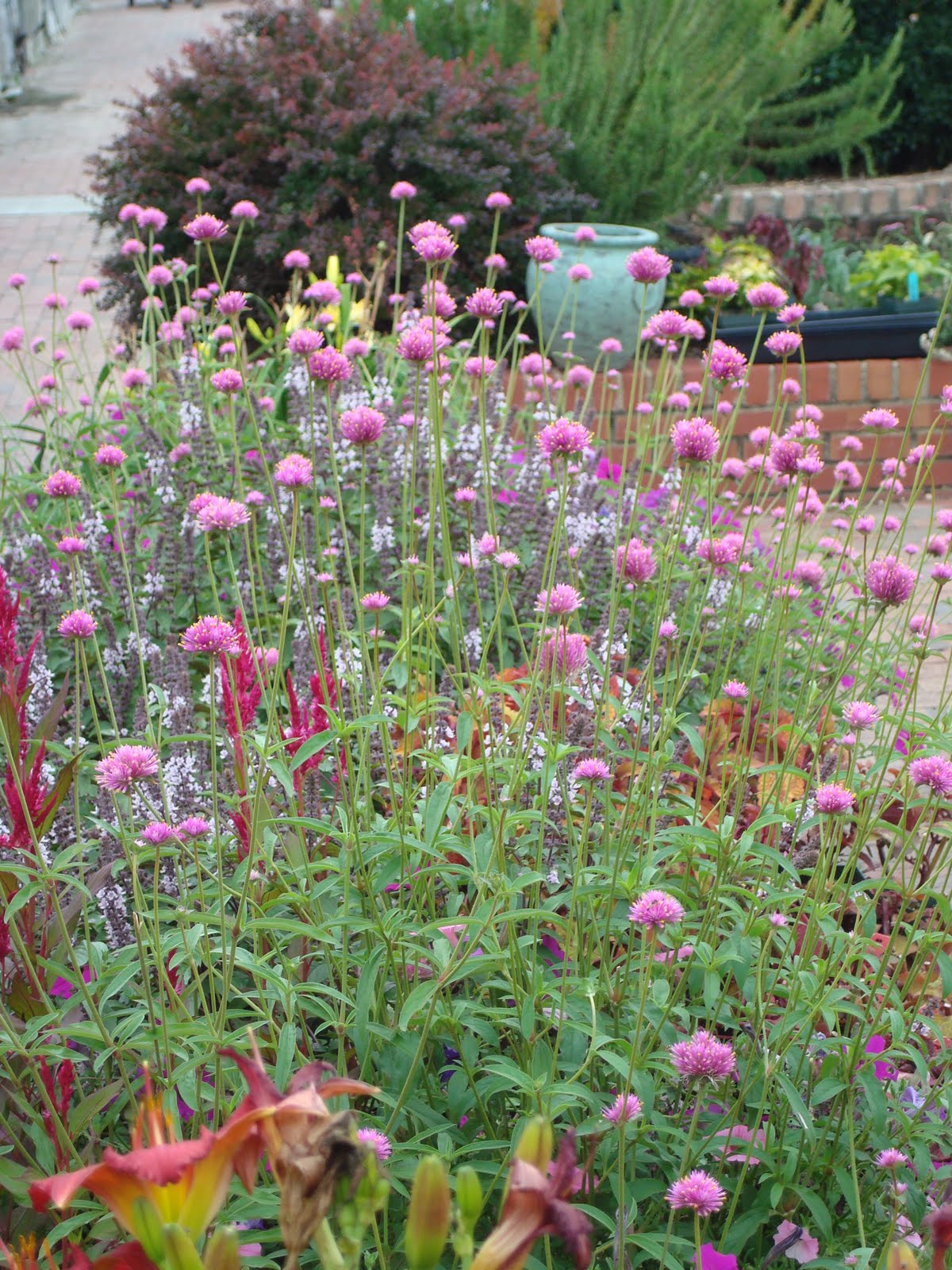 Big Bloomers Flower Farm Sales and Events Big Bloomers 2010 Saturday
