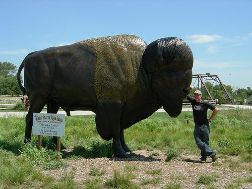 [bison+statue.jpg]