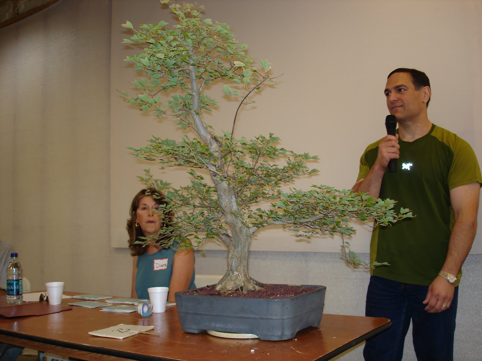 Bent Tree Bonsai Dallas Bonsai Auction
