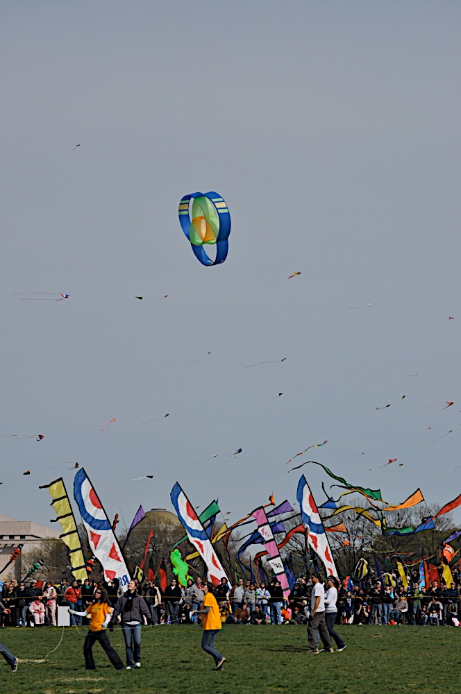 Two DC Kite Festival