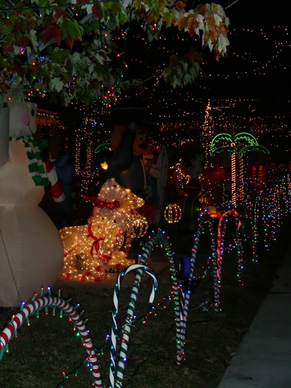 Christmas Displays in Holly Hill Florida Christmas Photos