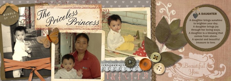 The Priceless Princess