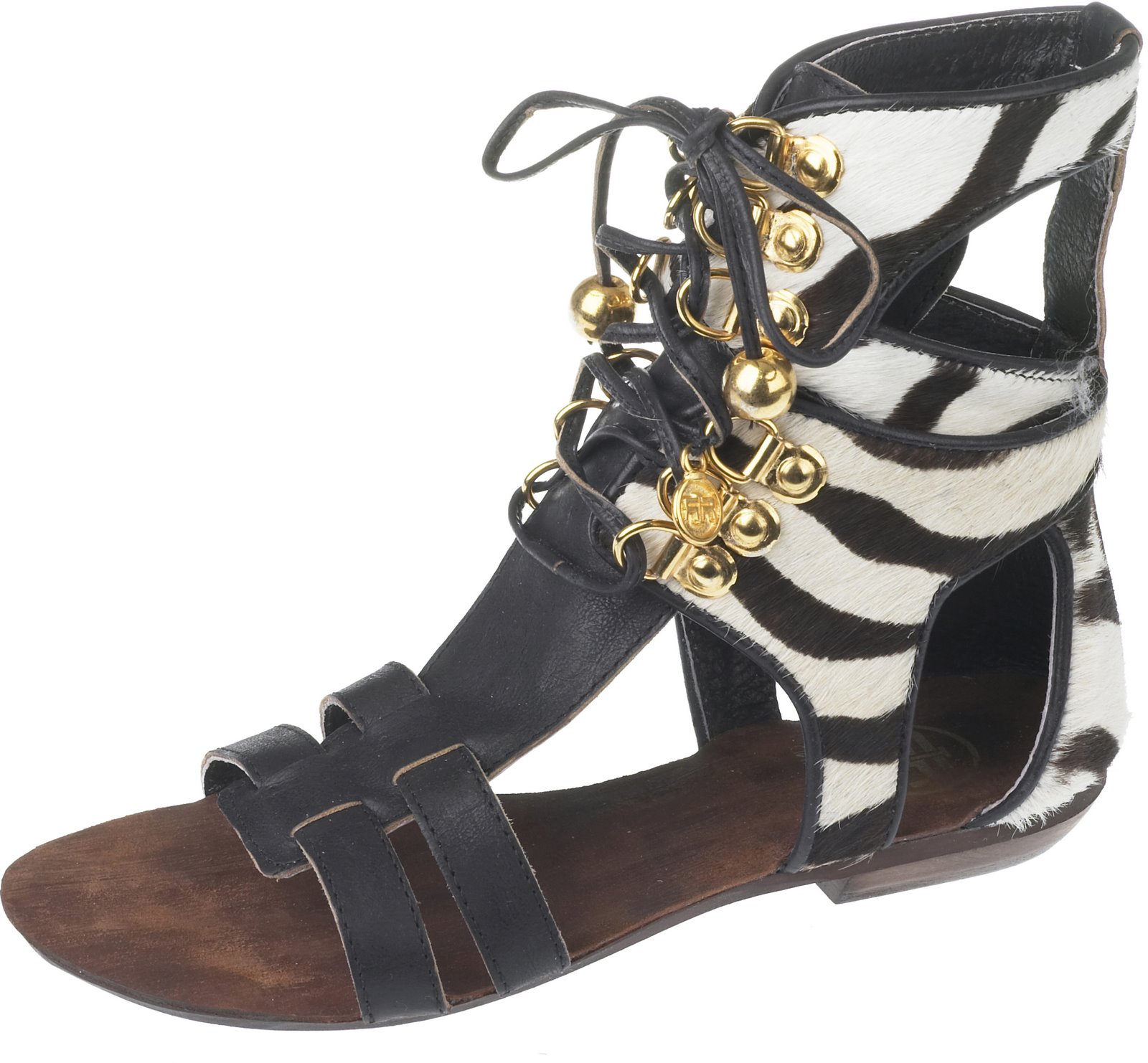 [Zebra_gladiator_sanda.84170.jpg]