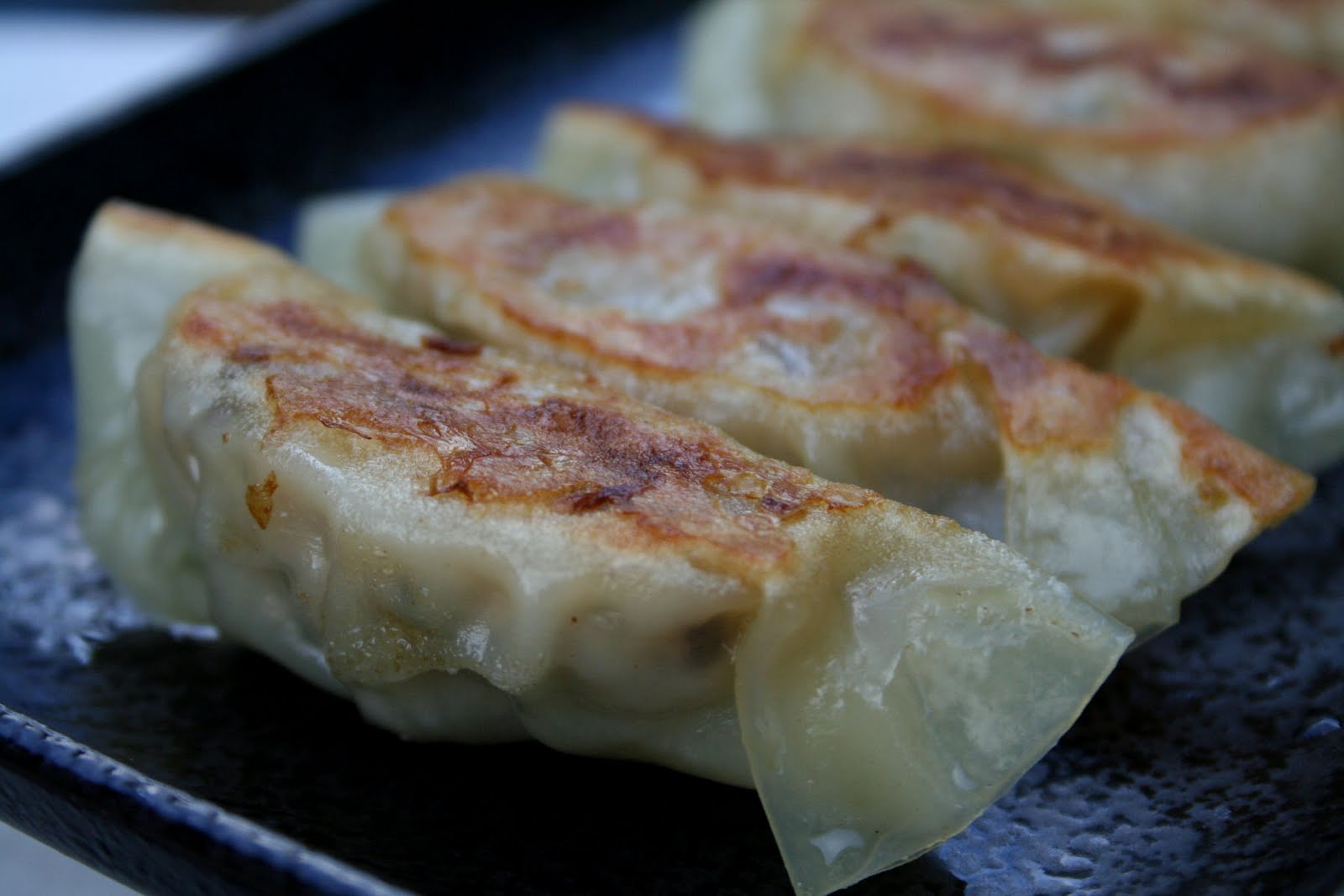 Recipe Developer Gyoza (Japanese Dumpling)