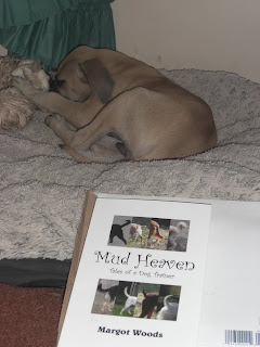 Picture of the book (Mud Heaven) With Tracker ignoring it in the back ground 