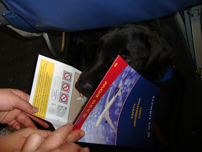 Picture of Rudy reading the airport safety card!
