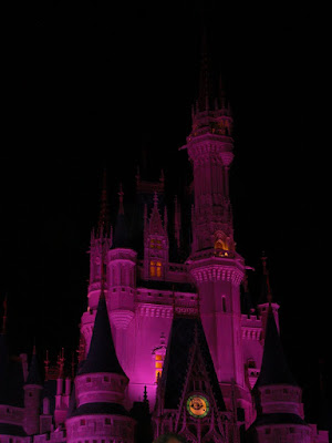 Photo taken at night of the Cinderella Castle