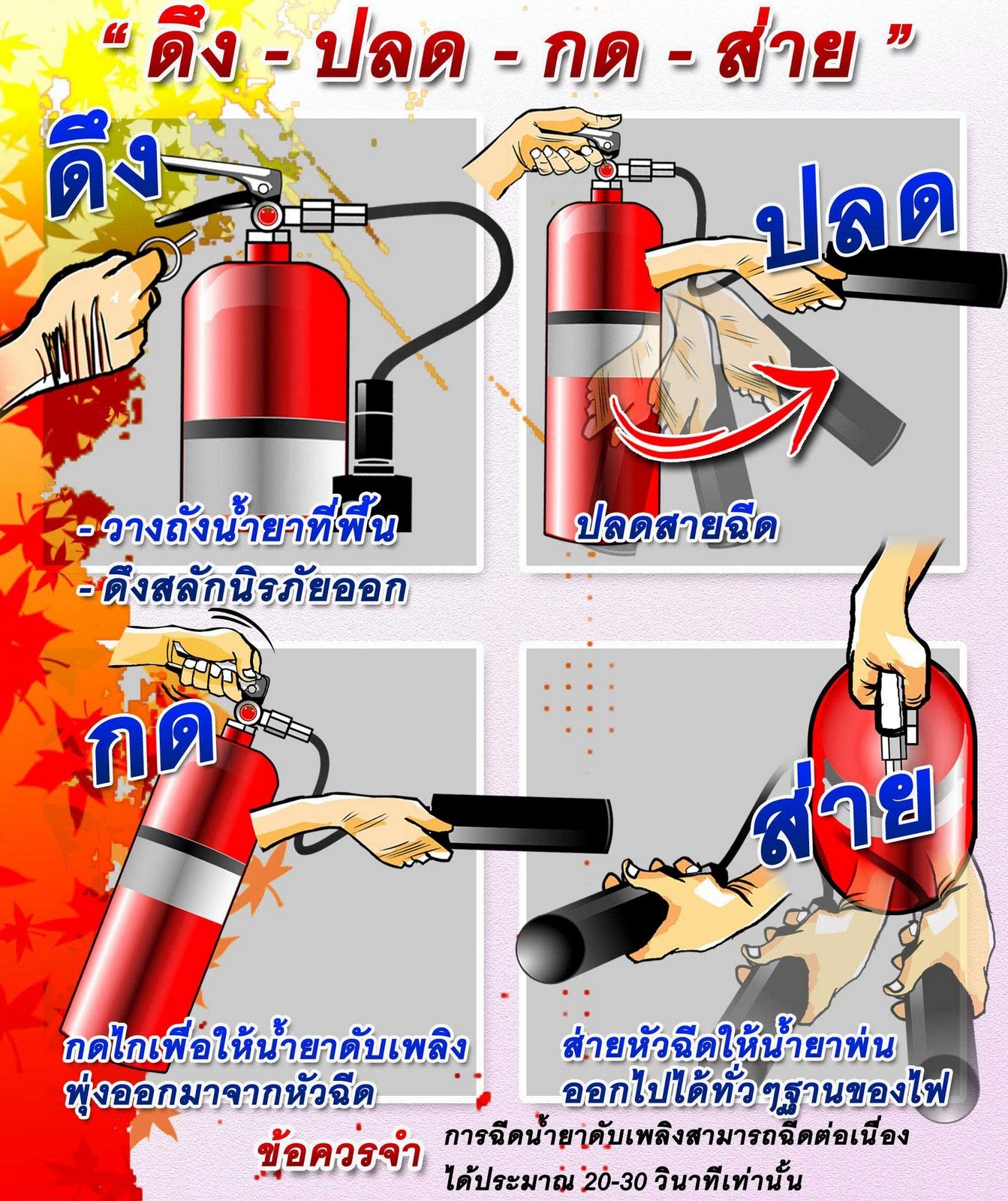 My Image 50