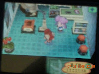 Animal Crossing: Tips and Tricks