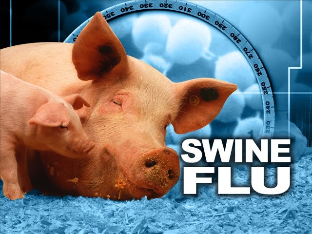 [swine-flu.jpg]