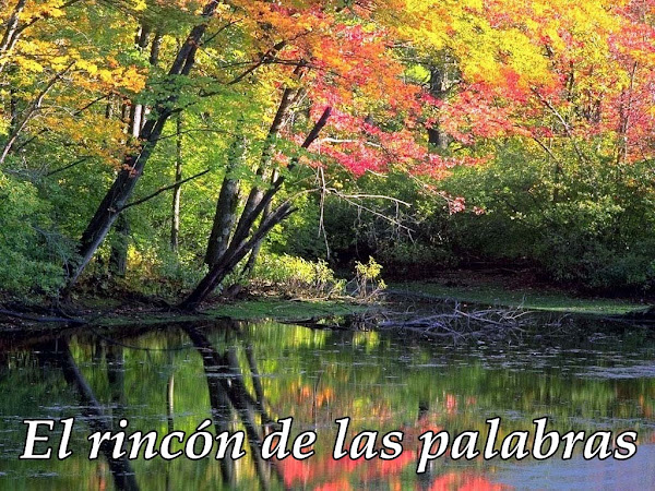 EL  RINCON DE LAS PALABRAS